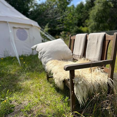 ホテル Glamping Pa Amager ドラウアー エクステリア 写真
