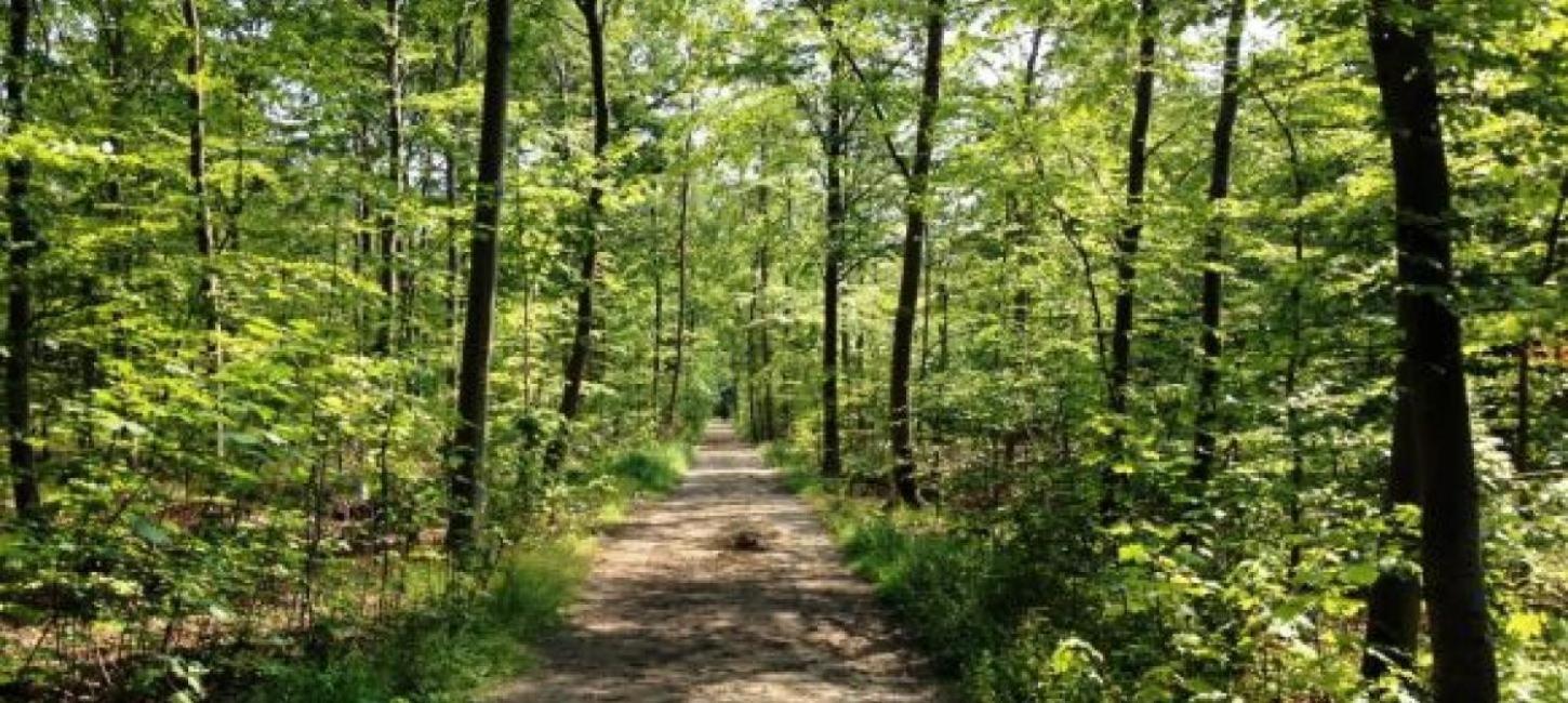 ホテル Glamping Pa Amager ドラウアー エクステリア 写真